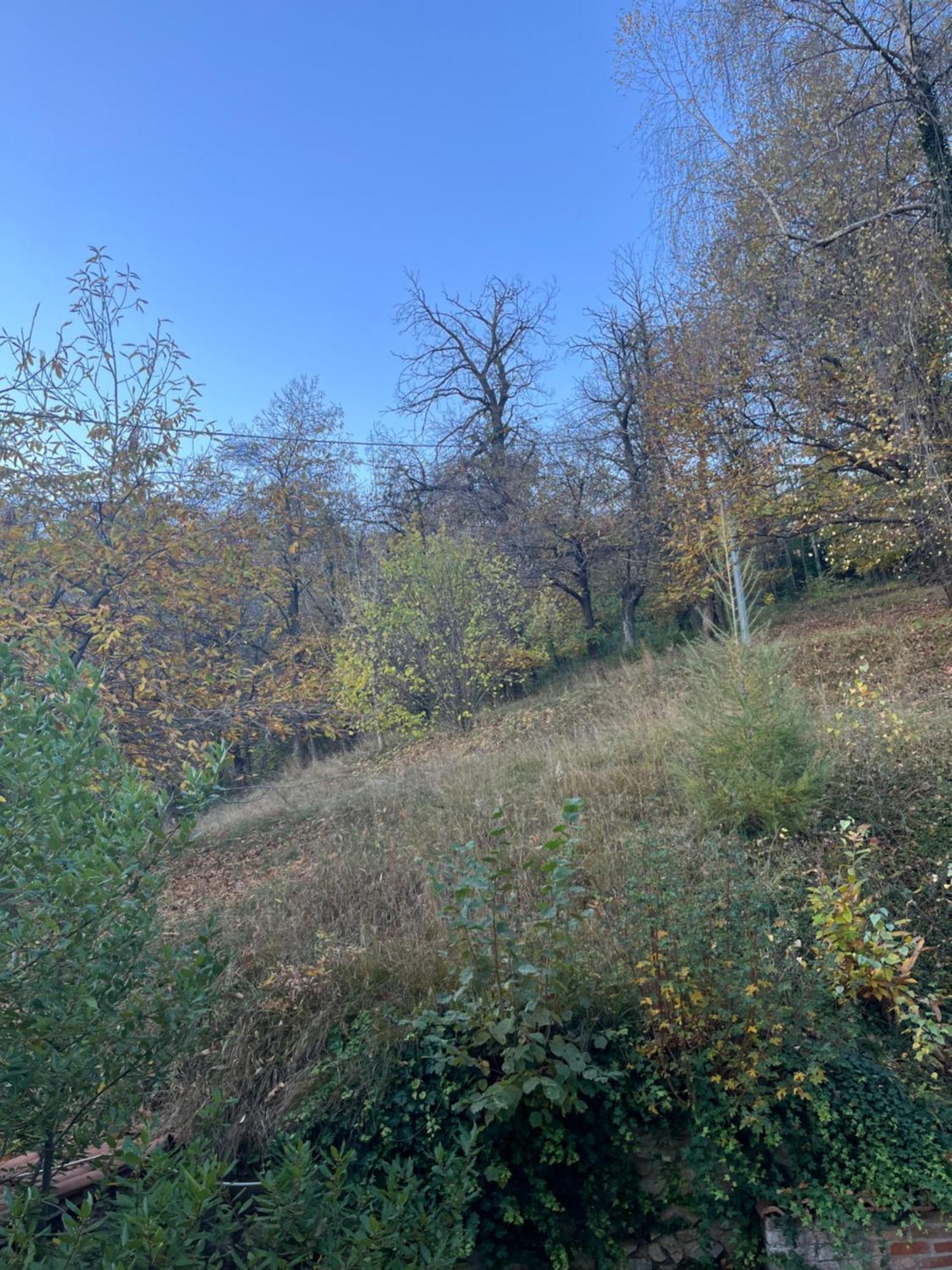 Il Bosco Incantato Borgo San Dalmazzo Kültér fotó